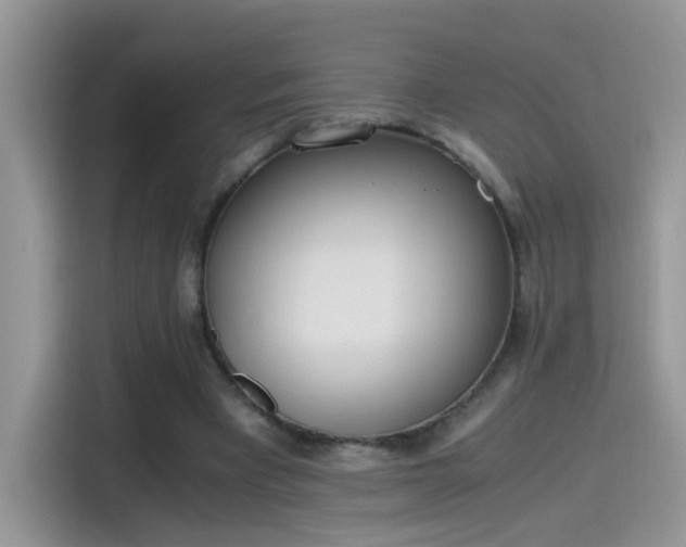 X0000115440393200911121127