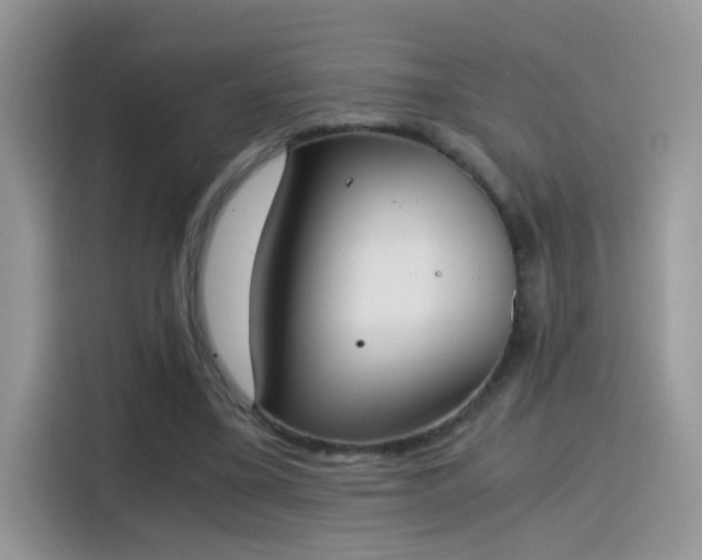 X0000115440395200911121127