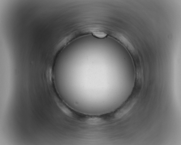 X0000115440397200911121127
