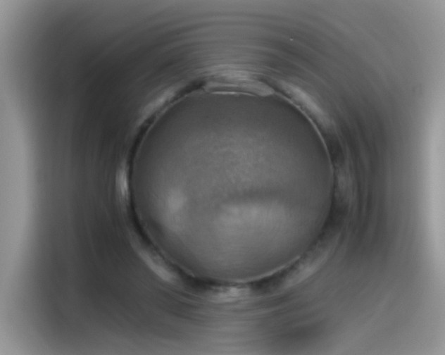 X0000115440398200911121127