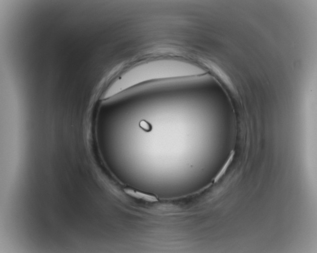 X0000115440399200911121127