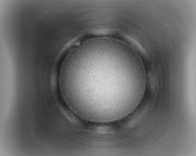 X0000115440400200911121127