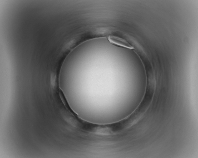 X0000115440403200911121127