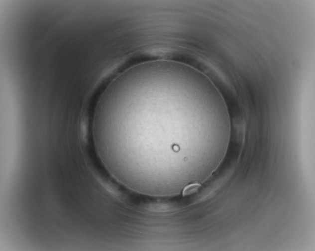 X0000115440404200911121127