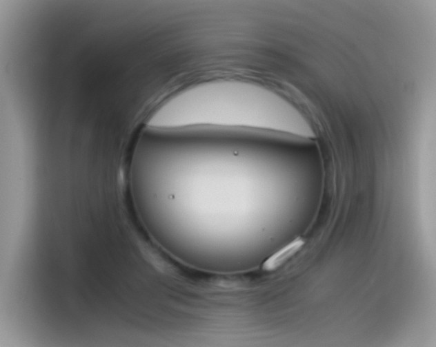 X0000115440405200911121127