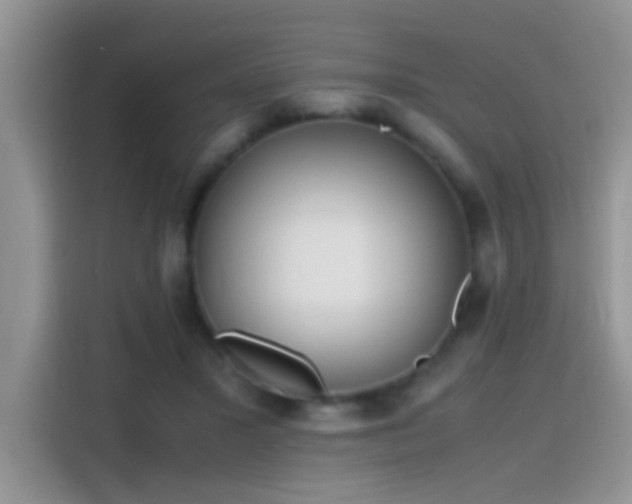 X0000115440407200911121127