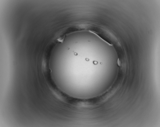 X0000115440408200911121127