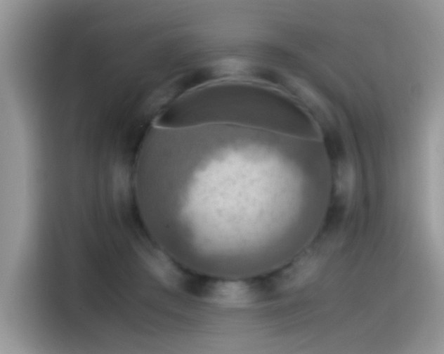 X0000115440409200911121127