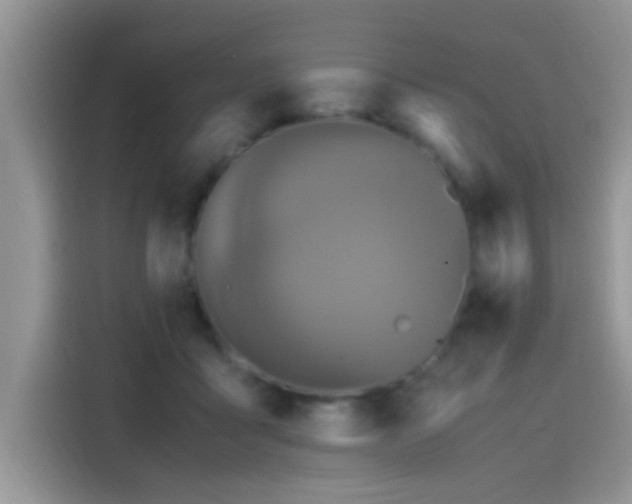 X0000115440411200911121127