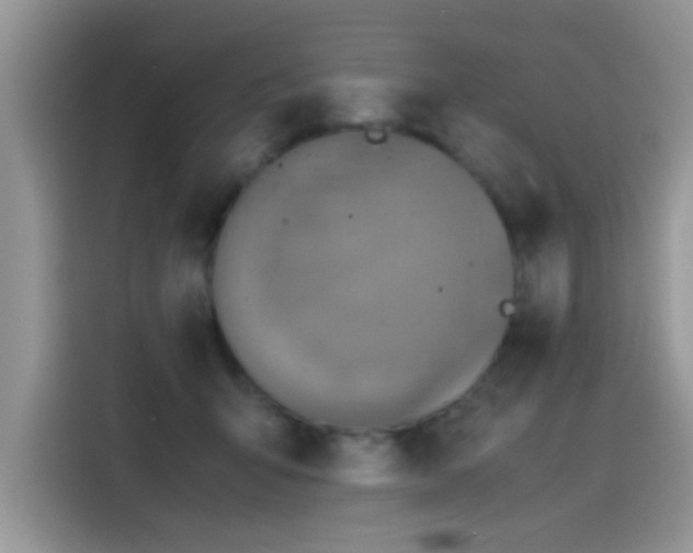 X0000115440415200911121127