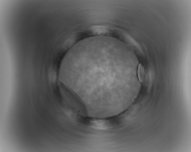 X0000115440417200911121127