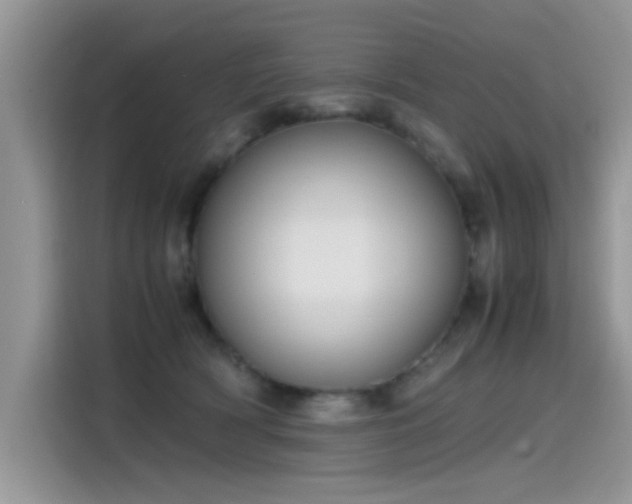 X0000115440418200911121127