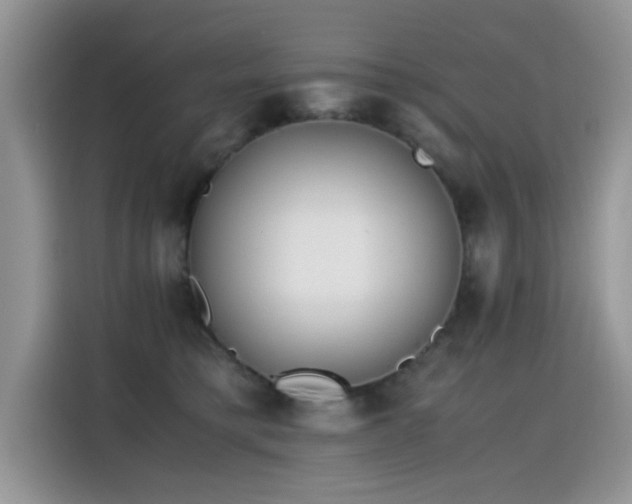X0000115440421200911121127
