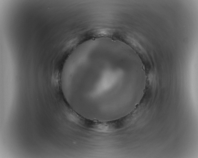X0000115440423200911121127