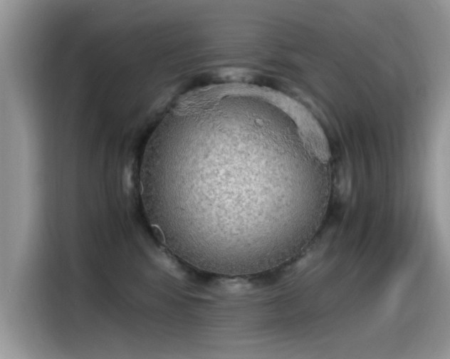 X0000115440424200911121127