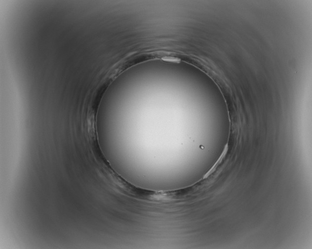 X0000115440425200911121127