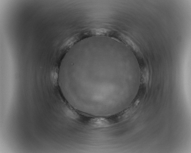 X0000115440427200911121127