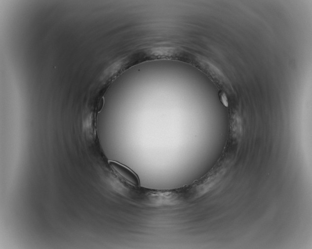 X0000115440428200911121127