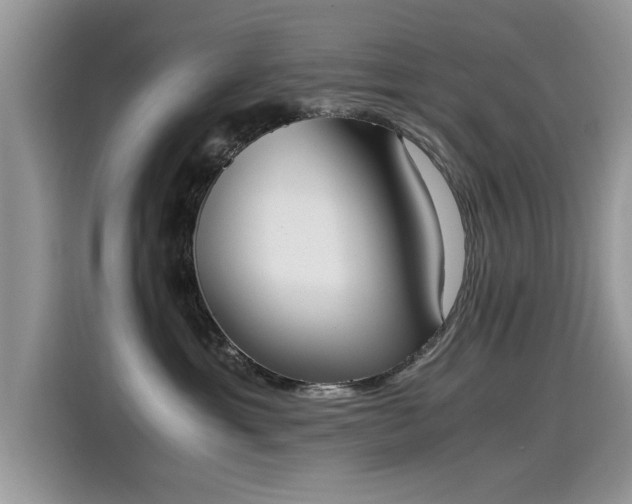 X0000115440429200911121127