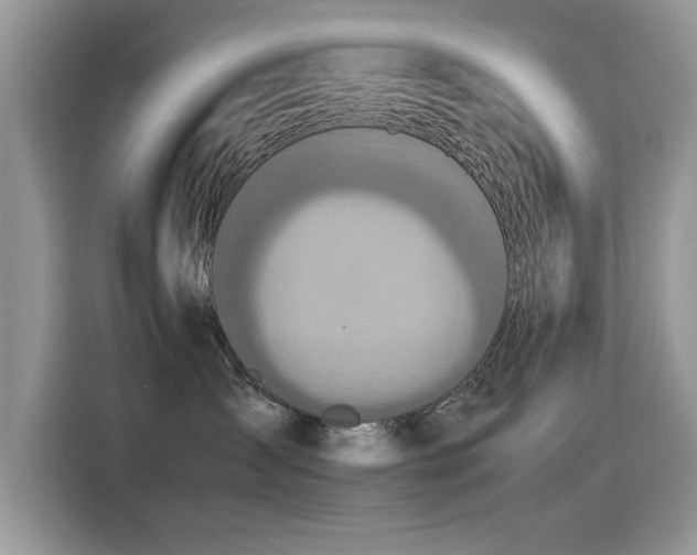 X0000115440431200911121127