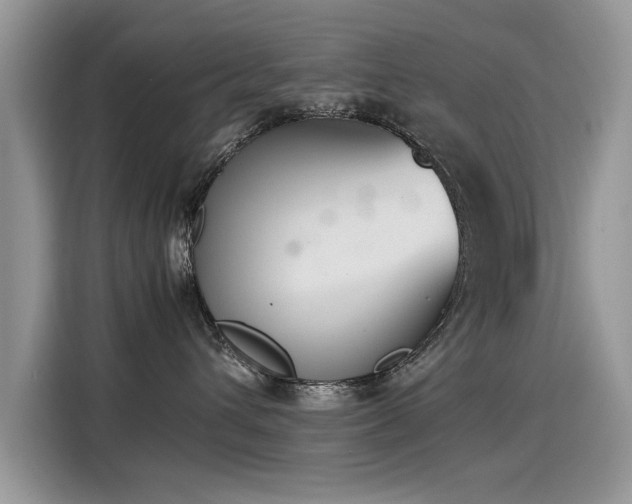 X0000115440432200911121127