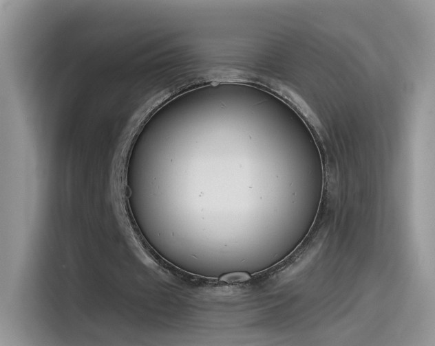 X0000115440433200911121126