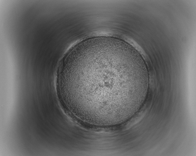 X0000115440434200911121126