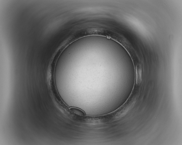 X0000115440435200911121126