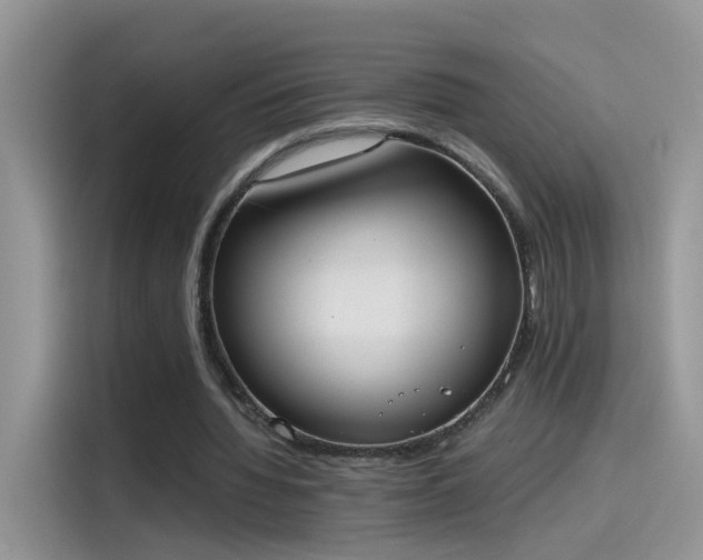 X0000115440436200911121126