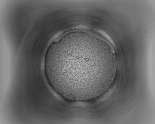 X0000115440437200911121126