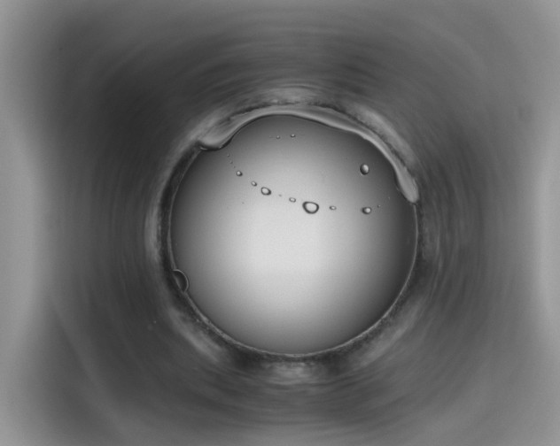 X0000115440439200911121126