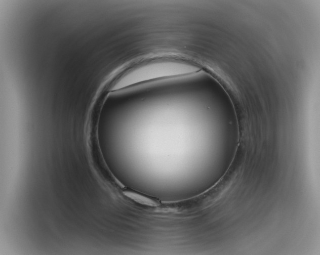 X0000115440440200911121126