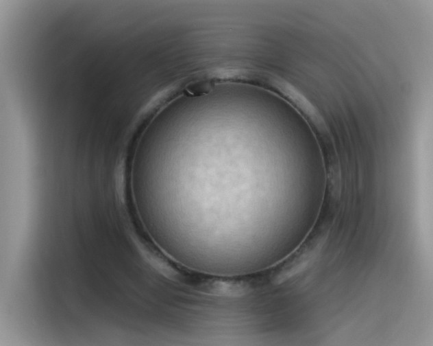 X0000115440442200911121126