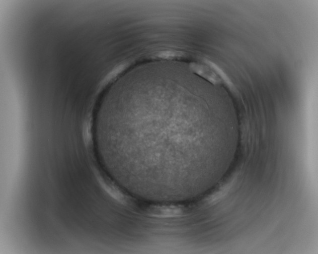 X0000115440443200911121126