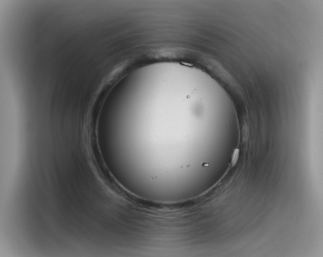 X0000115440444200911121126