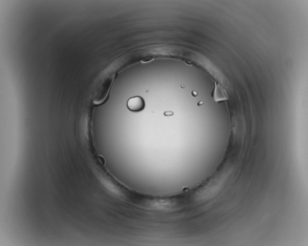 X0000115440445200911121126