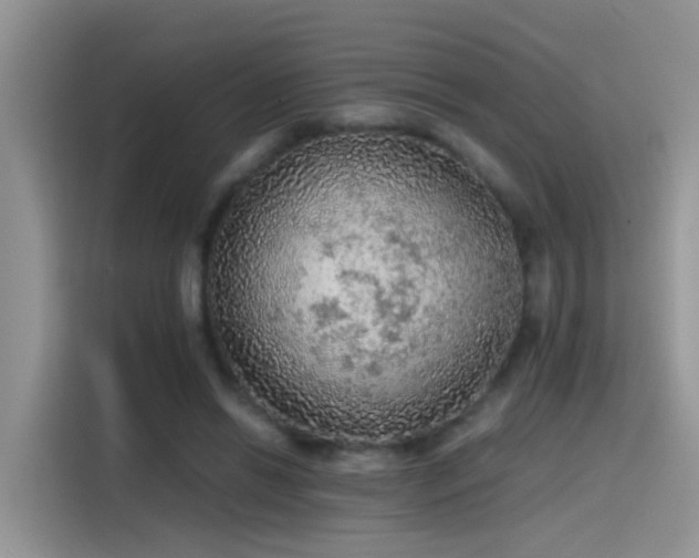 X0000115440446200911121126