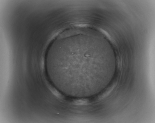 X0000115440447200911121126