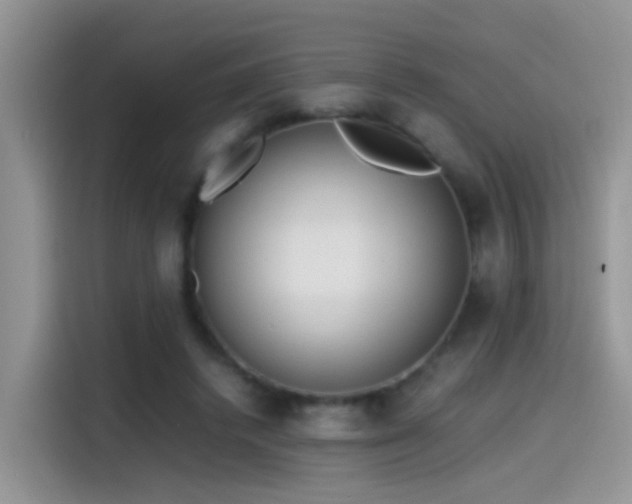 X0000115440448200911121126