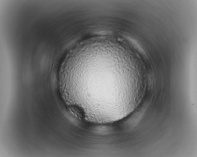 X0000115440453200911121126