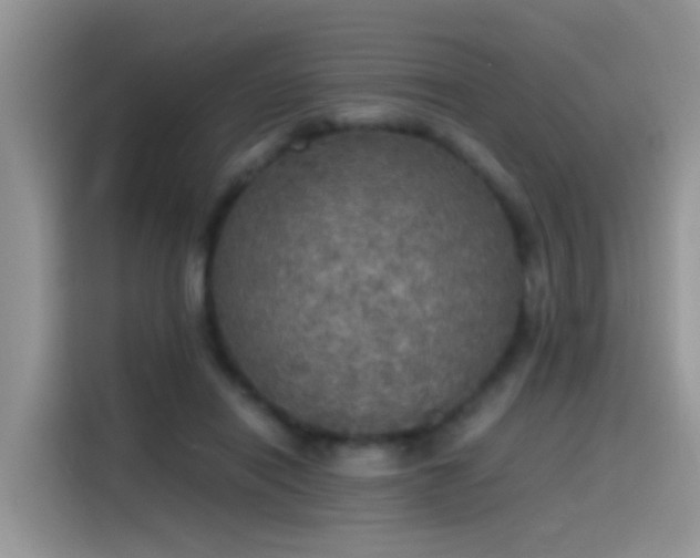 X0000115440454200911121126