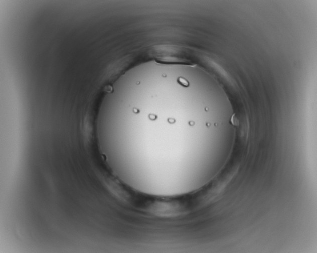 X0000115440455200911121126