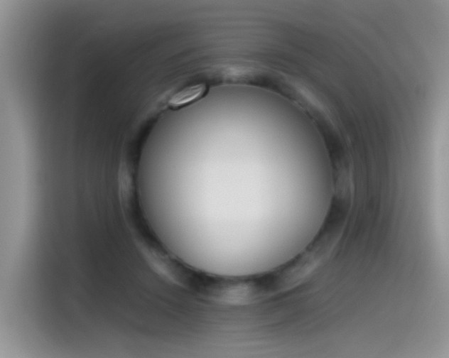 X0000115440456200911121126