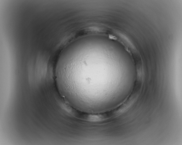 X0000115440457200911121126