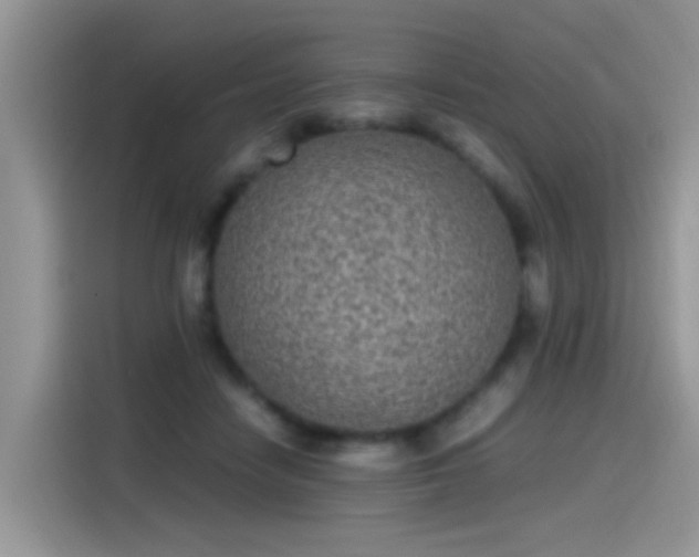 X0000115440458200911121126