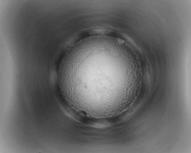 X0000115440459200911121126