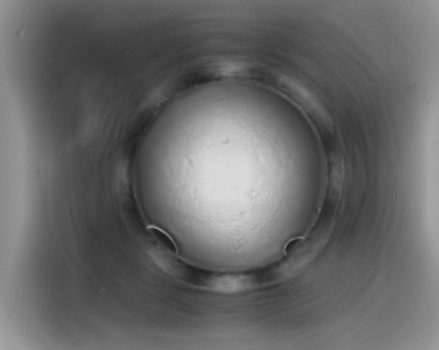 X0000115440461200911121126
