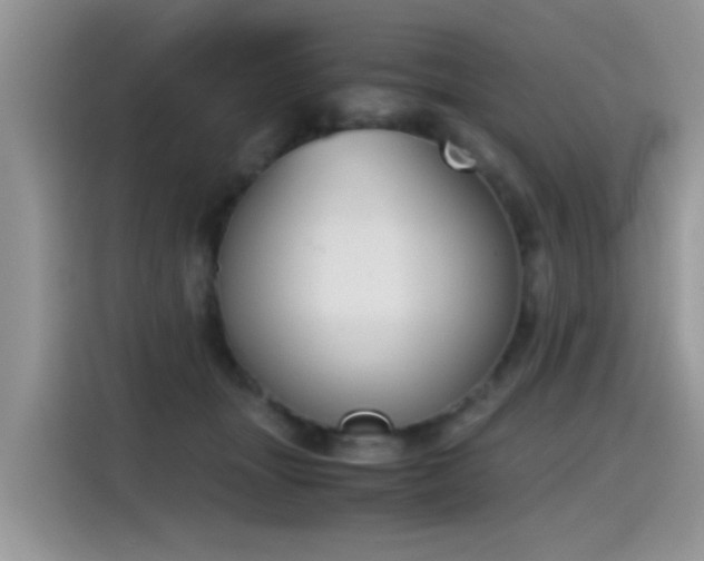 X0000115440463200911121127