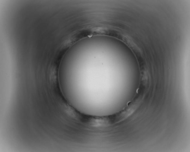 X0000115440466200911121127