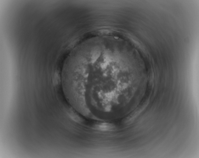 X0000115440467200911121127